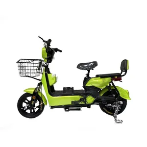 最便宜的成人电动多功能车锂铅酸电池电动自行车家庭货运电动自行车带篮子后架