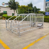Enclos de gestation pour truies en acier galvanisé, fabrication directe, équipement d'élevage porcin, vente en gros, sur mesure