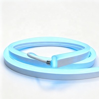 Bande LED néon flexible en silicone à courbure latérale 1225, DC24V, étanche IP67, lumière néon souple pour extérieur, taille personnalisée, vente en gros usine