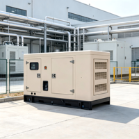 Premium Geräuscharmer Dieselgenerator mit Autostart ATS 60Hz 128kW 160kVA Wassergekühlt Schallgedämmt für Krankenhaus-Stromversorgung
