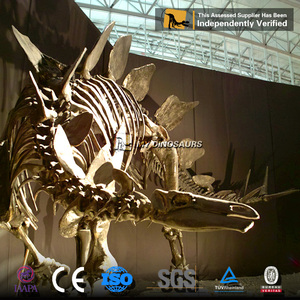 My Dino DS014 Dinosaur Museum Display Fiberglass Dinosaur <strong>Skeleton</strong> of <strong>Stegosaurus</strong> - Product Image 3