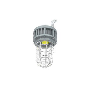 Luminaire anti-explosion en verre trempé de classe 1, division 1, avec protection en acier inoxydable, 20W/30W/40W, homologué UL ETL - Product Image 5