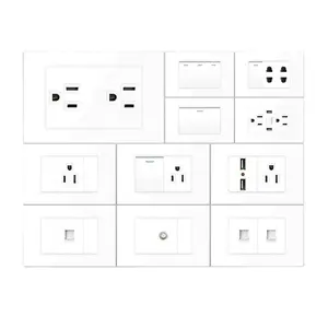 118 American Standard Japanese Canada Brazil Thailand Philippines Wall Switch Socket PC Panel 2 Gang 2 Way USB Port Socket