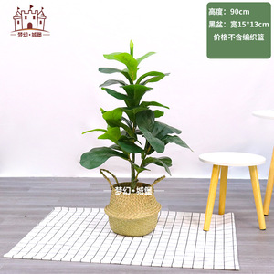 Arbre artificiel Ficus lyrata Dream Castle, 100cm-200cm, résistant aux UV, plante décorative d'intérieur en pot, verdure - Product Image 5