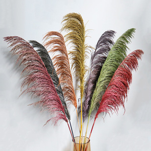 Plumas de Pampas Preservadas al por Mayor, Grandes, Esponjosas, Tacto Natural, Decoración Boho, Arco de Boda, Lujo, Navidad, Naturales y Secas - Product Image 1