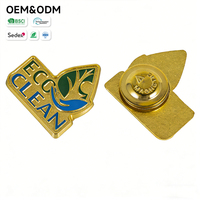 Maßgefertigtes Umweltfreundliches Souvenir-Abzeichen aus Zinklegierung mit Emaille-Pin, OEM ODM Magnetisches Zubehör für Umweltfreundliche Veranstaltungen, Öko-Reinigungs-Abzeichen