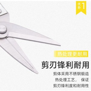Nice <b>Pruning</b> Shears 6.5 In Alloy Steel Straight Head For Fruit <b>Trees</b> And Branches Garden <b>Tools</b> - Product Image 3