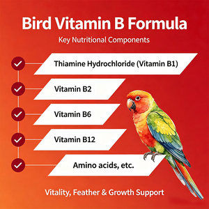 Gotas de Vitaminas Líquidas para Aves, Loros, Palomas, Gallinas, Vitamina B12, Aminoácidos, L-Carnitina, Apoyo Inmunológico y Antiestrés - Product Image 3