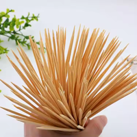 Vente chaude Brochettes en bambou jetables de haute qualité BBQSticks Vente en gros Personnalisé Biodégradable Sain Écologique Résistant à la chaleur