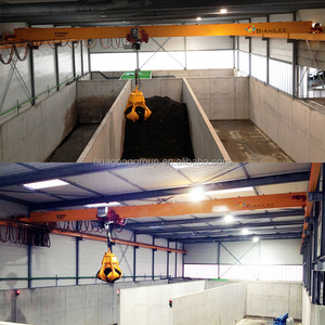 Grue à poutre simple de type LDZ pour la manutention sécurisée de matériaux en vrac - Product Image 4