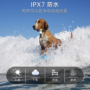 Collier de dressage électrique pour chien anti-aboiement, rechargeable, étanche, en plastique écologique, tendance, avec indice de protection IP67, taille L - Product Image 6