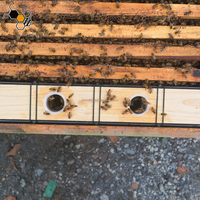 Alimentador Automático de Agua para Cuadros de Colmena, Alimentador Profundo para Cuadros de Abejas, Herramientas de Alimentación para Apicultura