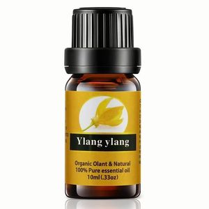 Aceite Corporal de Aceites Esenciales Puros, Rosa, Eucalipto, Ylang-Ylang, Albahaca, Refrescante para la Piel, Aromaterapia, Aceite de Masaje Perfumado, Natural - Product Image 1