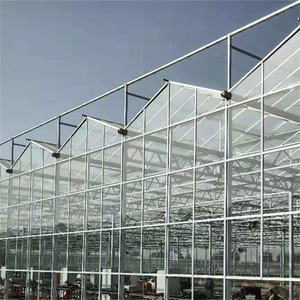 Arco gótico de vidrio solar Casa de cultivo Venlo Conservatorio canto surco invernadero para árboles de interior - Product Image 6