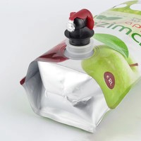 Sachet Doypack en aluminium imprimé sur mesure de 10 L avec bec verseur et valve papillon pour l'emballage de jus, de boissons et de liquides