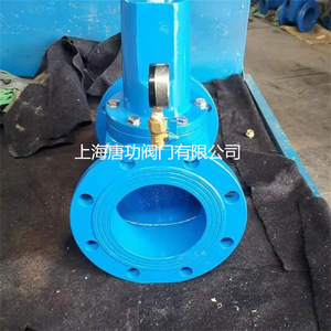 Vanne de réduction de pression en fonte ductile Tang Gong Y416X-16Q DN15, type diaphragme à ressort, pour l'alimentation en eau et le drainage - Product Image 5
