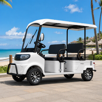Mini-bus électrique 4 places avec toit à auvent, freins à disque sur 4 roues, certifié CE, chariot de tourisme pour les stations balnéaires, les parcs et les communautés