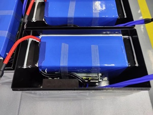 Batería de Iones de Litio BULLCUBE de 12v 24 Voltios 48v 100ah 400ah 200ah 120ah para Auto y Barco, Serie LQ, Batería de Iones de Litio de 24 Voltios Serie LQ - Product Image 5