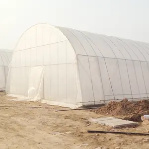 Industry best-selling green greenhouse tunnel greenhouse hydroponic system
