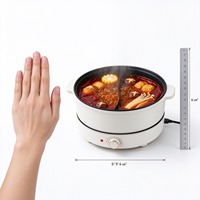 Casserole électrique
