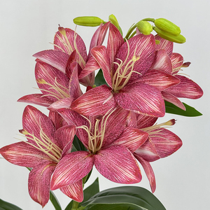 QYYM-515 7 Cabezas de Magnolia Qianxi, Flor Artificial de Navidad de Alta Calidad, Decoración Hecha a Mano para Ocasiones de Graduación - Product Image 2