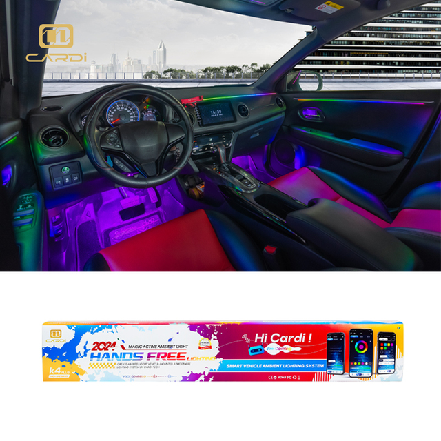 Enhanced Atmosphere Ambient Lighting 'CARDI' K4 Plus 24 in 1 for BMW Car Interior Decoration Lighting System 12V