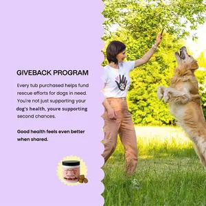 Probiotiques OEM/ODM pour chiens, enzymes digestives pour la <span class=keywords><strong>flore</strong></span> <span class=keywords><strong>intestinale</strong></span>, santé digestive, <span class=keywords><strong>diarrhée</strong></span> et soutien intestinal, complément alimentaire pour chien, comprimés à mâcher - Product Image 3