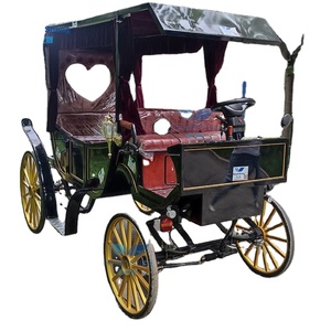 Venta al por mayor 2024 clásico maratón carro de caballos corazón amoroso turismo carro eléctrico con dosel de 4 ruedas para gran oferta - Product Image 6