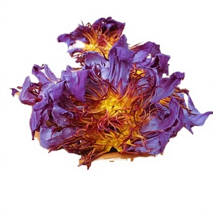 Thé minceur aux fleurs de lotus bleues séchées de qualité supérieure biologique en emballage en bouteille en vrac - Product Image 2