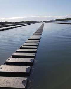 Kandang tiram HDPE terbalik mudah, sistem penumbuh tiram kualitas tinggi Float Flip keranjang pertanian 100% Anti-UV - Product Image 4