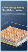 Incubateur automatique pour œufs, mini incubateurs pour l'éclosion des œufs, machine à couver les œufs de poulet, machine à couver les œufs de reptiles, d'oiseaux ou de canards