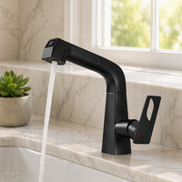 Robinet de lavabo WEIHAO noir à affichage numérique avec jet continu et douchette à main pour un nettoyage sans angle mort