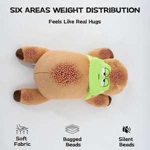 2 kilo ağırlıklı Capybara doldurulmuş hayvanlar peluş Huggable arkadaşı çocuklar yetişkinler hediye şükran noel doğum günü büyük hayvan - Product Image 2