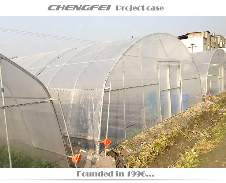 Diskon besar tunggal komersial film plastik sayuran tomat stroberi Harga bunga terowongan rumah kaca untuk dijual