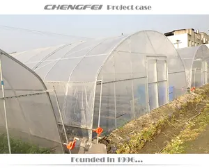 Comercial único período plástico filme vegetal tomate morango flor preço túnel estufa à venda