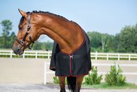 Tapis de cheval léger en matériau gaufré, drap de cheval confortable et Durable pour l'été
