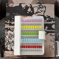 Album professionnel portable magnétique pour présentation d'ongles, anti-poussière, transparent, pour cartes de couleurs, rangement et collection de capsules d'ongles en gel