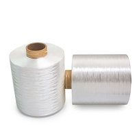 High Tenacity Nylon Yarn for Industrial Use
