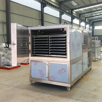 30 kg Vriesdroogmachine voor thuisgebruik voor verse fruit, groenten en bessen