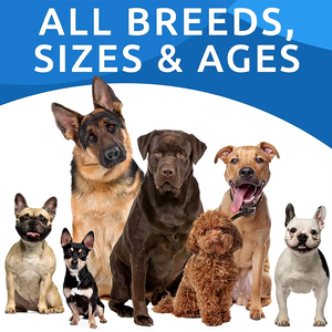 Vente en gros de supplément musculaire pour chien de marque privée <span class=keywords><strong>Bully</strong></span> Supplément musculaire pour chien naturel à mâcher pour les hanches et les articulations pour chien - Product Image 6