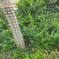 Protection de la ferme en plastique Clôture de jardin Étang Clôture de sécurité Chat Pet Poulet Canards Elevage Net Geogrid