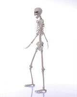 Squelette grandeur nature 165 cm pour décoration d'Halloween, vente en gros, effrayant, corps entier, accessoire pour maison hantée