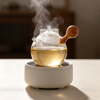 Thee-set van dik, hittebestendig borosilicaatglas met filter, geschikt voor Kung Fu thee, fruitthee en koffie.