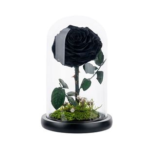 <span class=keywords><strong>Regalo</strong></span> Romantico <span class=keywords><strong>per</strong></span> <span class=keywords><strong>San</strong></span> <span class=keywords><strong>Valentino</strong></span> <span class=keywords><strong>per</strong></span> Esprimere Amore alla Tua Ragazza nel Suo Compleanno Fiore di Rosa Naturale Preservato - Product Image 6