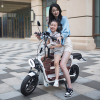Scooter électrique pliable 48V 500W avec pneus de 14 pouces, deux sièges, mini cyclomoteur électrique avec siège enfant, scooter pour animaux de compagnie