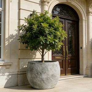 Pot de fleurs en ciment simple de style nordique, rond, <span class=keywords><strong>pour</strong></span> intérieur et extérieur, écologique, <span class=keywords><strong>pour</strong></span> villa, terrasse, jardin et hôtel - Product Image 1