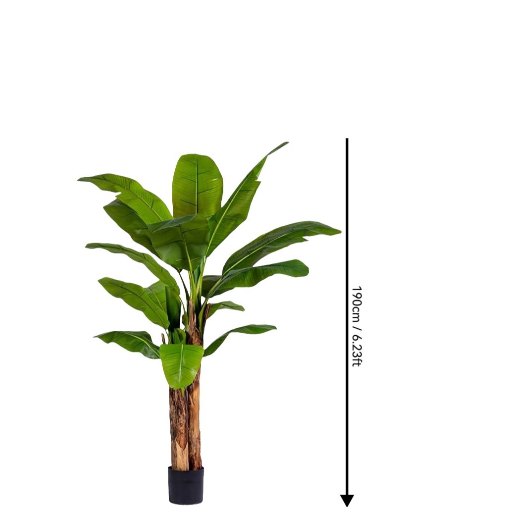 Vert 6,23 pieds/190 cm