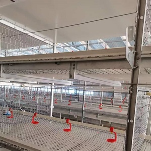 Jaulas de cría de <span class=keywords><strong>pollos</strong></span> de engorde tipo H de malla galvanizada de bajo <span class=keywords><strong>precio</strong></span> <span class=keywords><strong>para</strong></span> <span class=keywords><strong>pollos</strong></span> de engorde modernos <span class=keywords><strong>para</strong></span> <span class=keywords><strong>pollos</strong></span> de engorde a 2,5 kg - Product Image 3