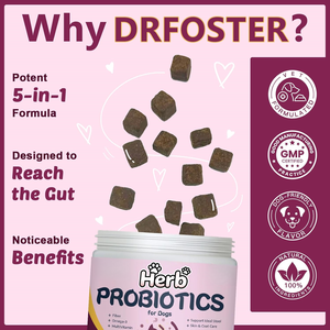 Golosinas Masticables para el Cuidado de Mascotas, 60 Unidades, Marca Privada ODM/OEM, Salud Digestiva Intestinal, Golosinas Nutricionales Prebióticas y Probióticas para Perros - Product Image 4