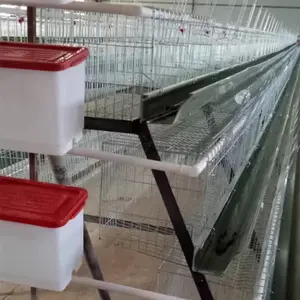 Automatic Layer Poultry Farming Equipment Battery Chicken Egg Layer Cage System Multifunctional Provided Chicken Coop 2.5-4.0 Mm